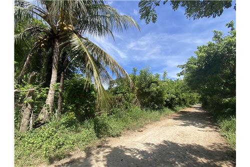 For Sale-Land-Utila, Bay Islands, Honduras-90182002-598