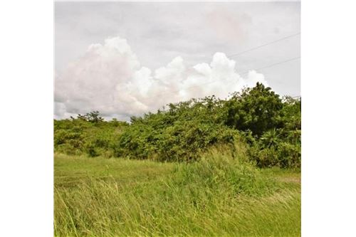 Te Koop-Grondstuk-Carlton, St Croix, US Virgin Islands-90123034-81