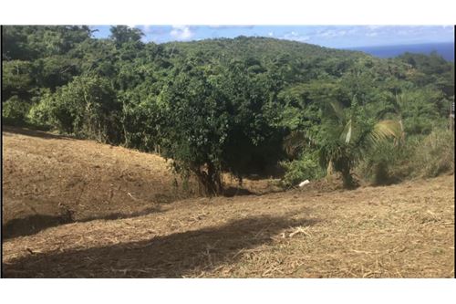 Te Koop-Grondstuk-Hard Labour, St Croix, US Virgin Islands-90123011-28