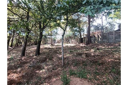 For Sale-Land-San Lucas Sacatepéquez, Sacatepéquez, Guatemala-90129016-31