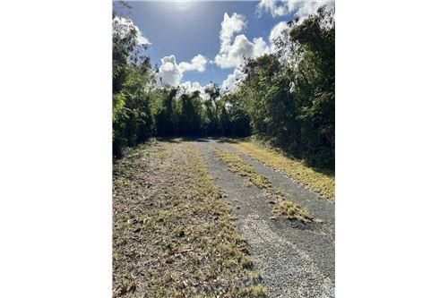 Te Koop-Grondstuk-Marys Fancy Estate, St Croix, US Virgin Islands-90123035-9