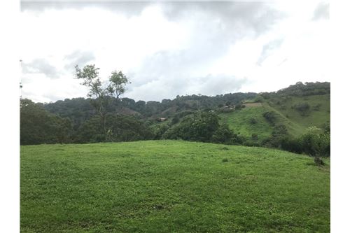 For Sale-Land-Atenas, Alajuela- Atenas, Costa Rica-90128002-938