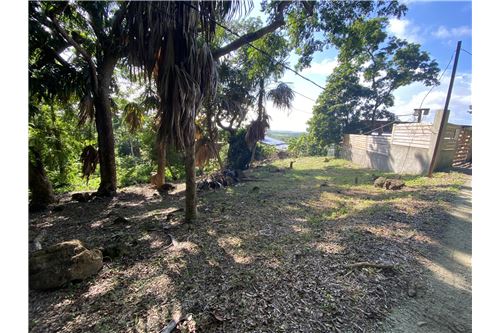 For Sale-Land-Utila, Bay Islands, Honduras-90182002-504