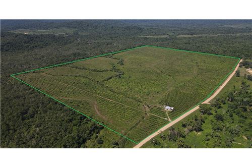 Sale of Business-For Sale-Silk Grass, Stann Creek District, Belize-901911013-62