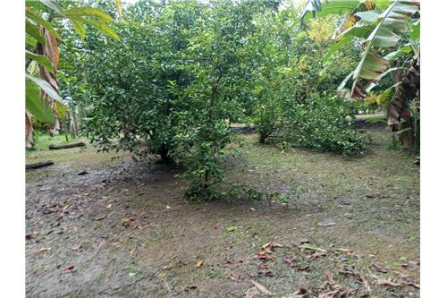 Land-For Sale-Pavones, Guanacaste, Costa Rica-902211014-14