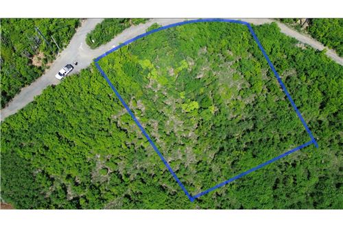 For Sale-Land-Union and Mount Washington Estate, St Croix, US Virgin Islands-90123034-99