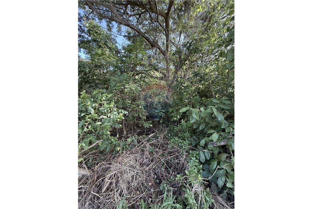 Land - For Sale - East End, Tortola, British Virgin Islands - 8 - 90134005-317