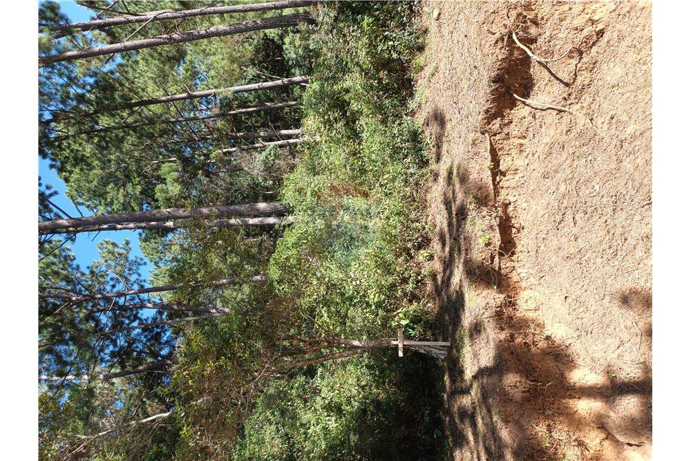 Grondstuk - Te Koop - San Raimundo, Guatemala, Guatemala - 3 - 902691016-8