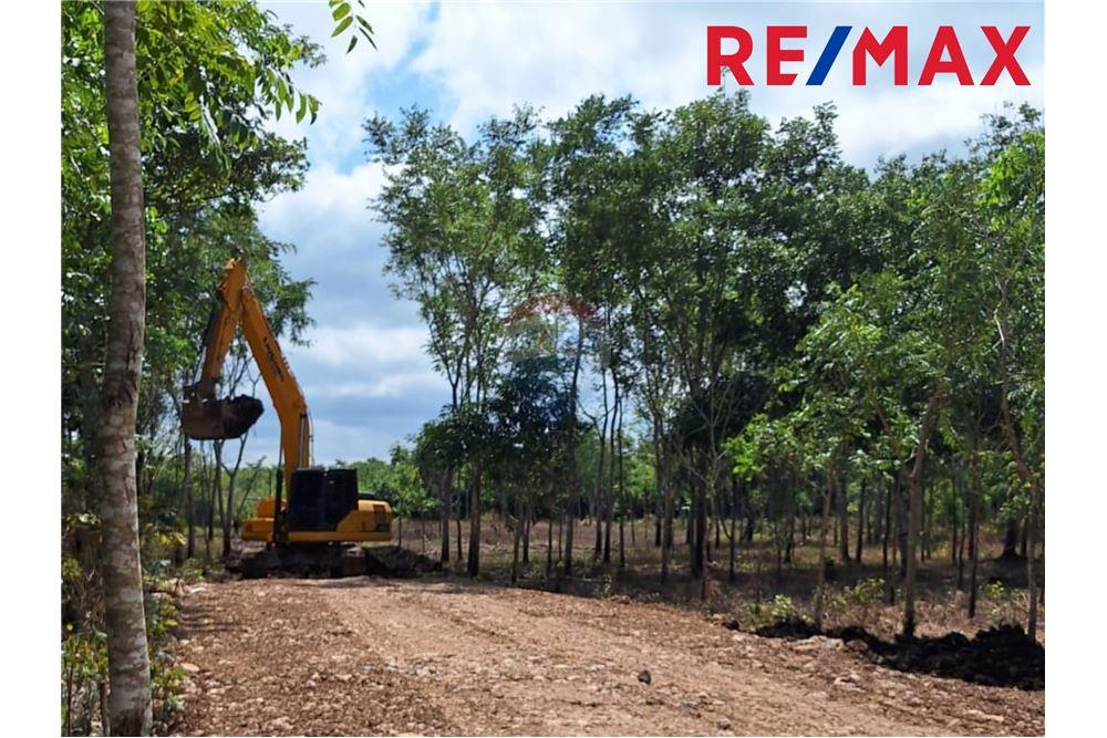 Lote - Venta - Paxcamán, Petén, Guatemala - 6 - 902691018-8