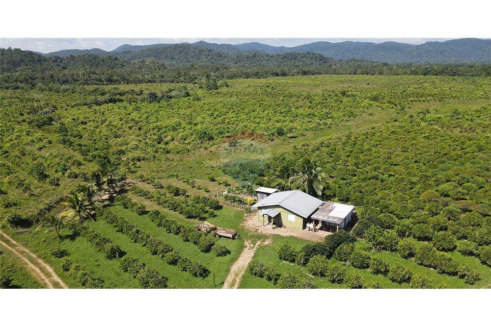 Sale of Business - For Sale - Silk Grass, Stann Creek District, Belize - 3 - 901911013-62