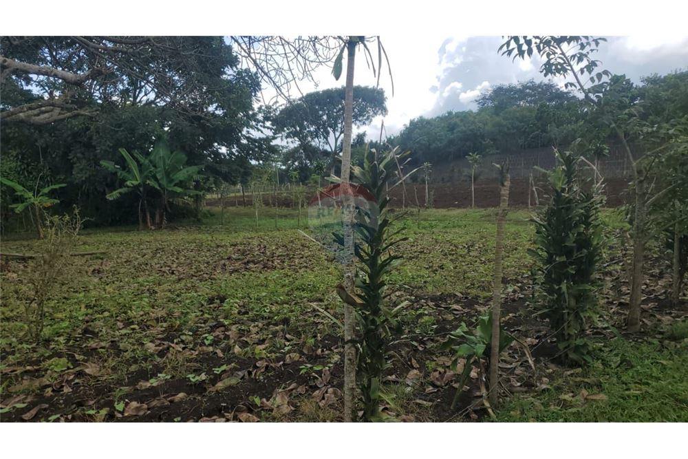 Land - For Sale - Jinotepe, Carazo, Nicaragua - 4 - 902681003-18