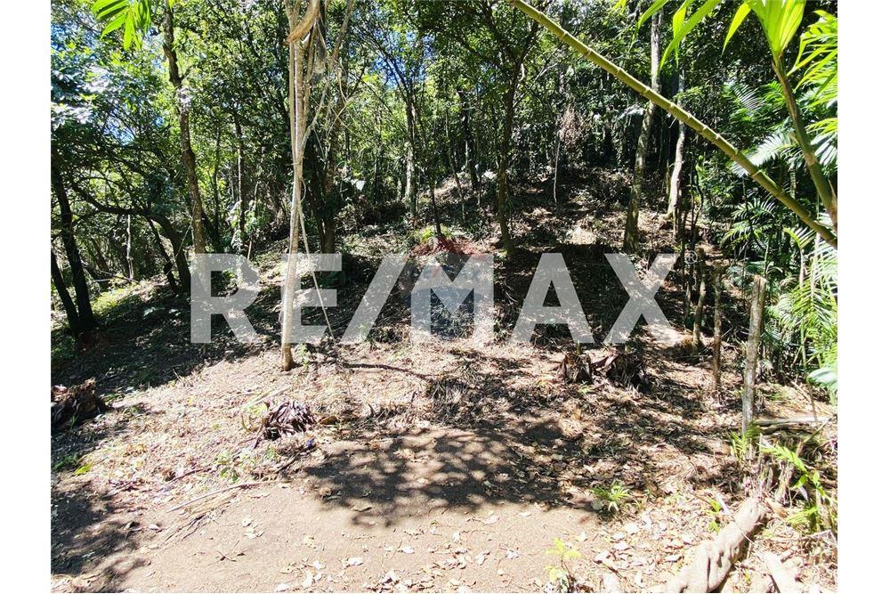 Land - For Sale - Santa Catarina Pinula, Guatemala, Guatemala - 2 - 902311019-21