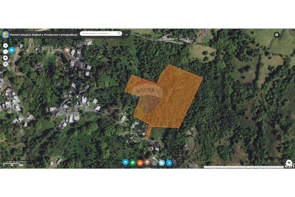 Land - For Sale - Juncos, Juncos, Puerto Rico - 1 - 90102046-21