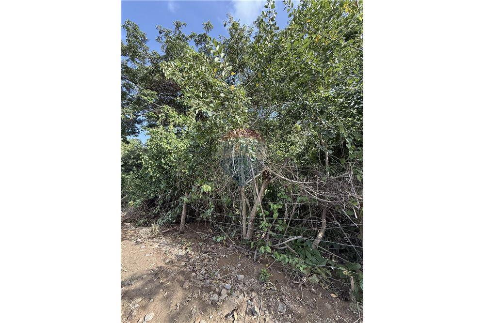 Land - For Sale - East End, Tortola, British Virgin Islands - 4 - 90134005-317