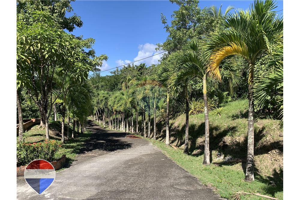 Grondstuk - Te Koop - Theodorine, Anse-la-Raye, St Lucia - 1 - 902071001-196