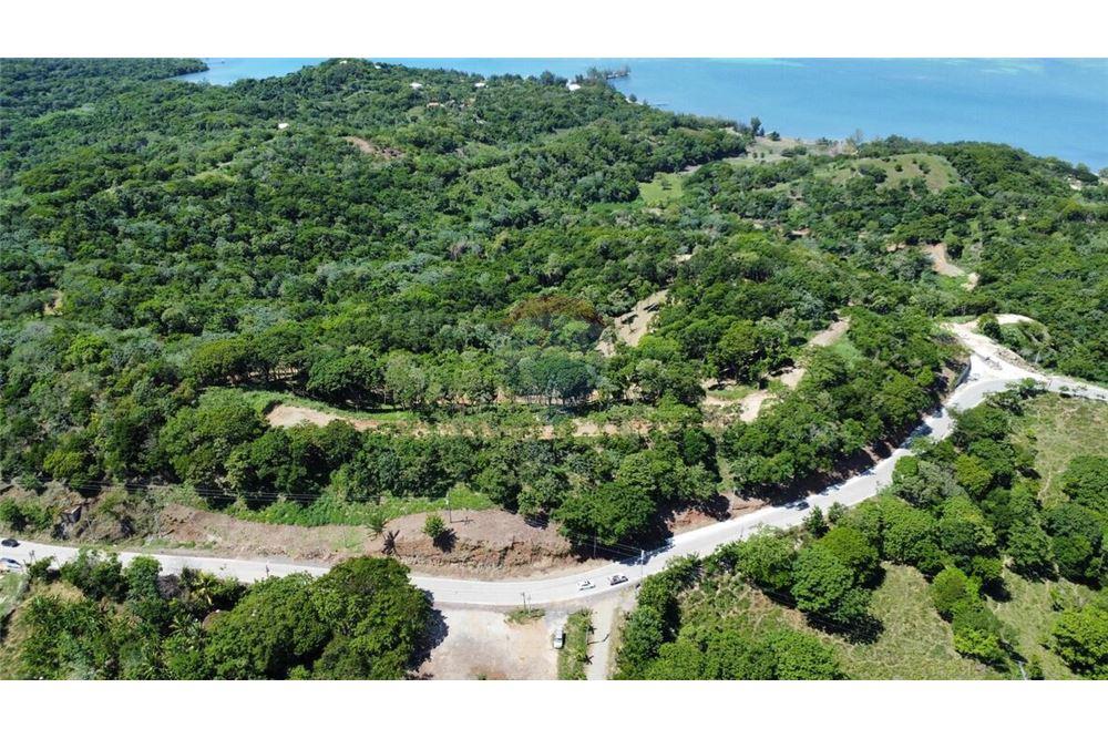 Land - For Sale - Roatan, Bay Islands, Honduras - 13 - 90143009-438
