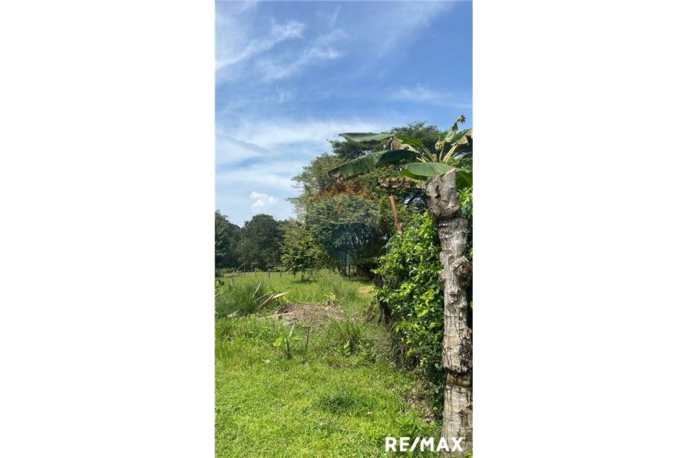 Land - For Sale - Tarcoles - Agujas, Puntarenas- Garabito, Costa Rica - 2 - 90168045-16