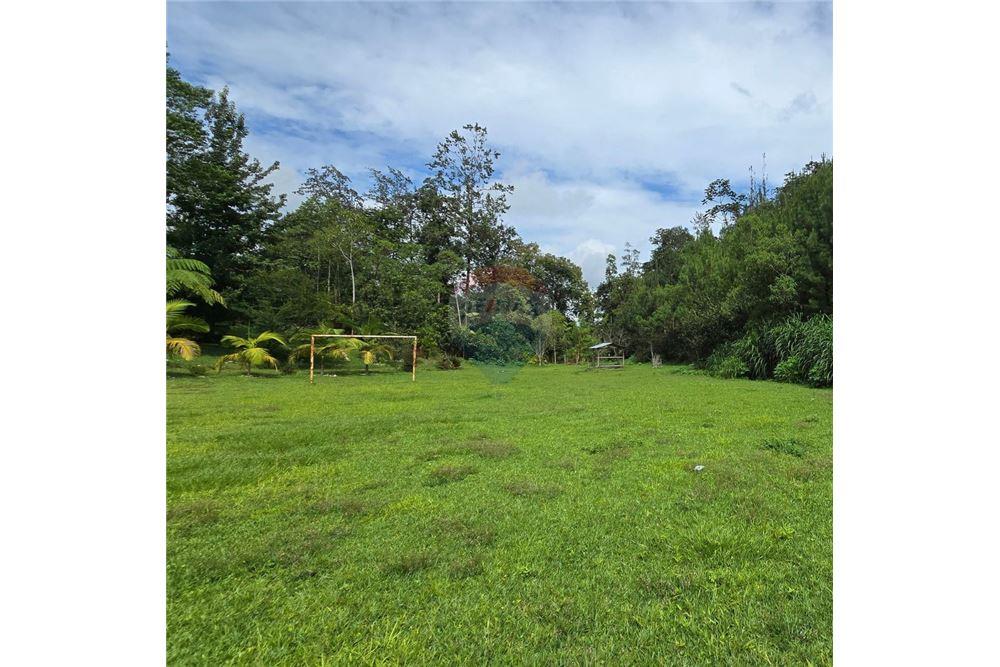 Land - For Sale - San Juan Chamelco, Alta Verapaz, Guatemala - 2 - 902611001-94