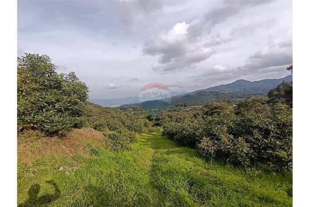 Land - For Sale - Santa Lucía Milpas Altas, Sacatepéquez, Guatemala - 1 - 90129016-43