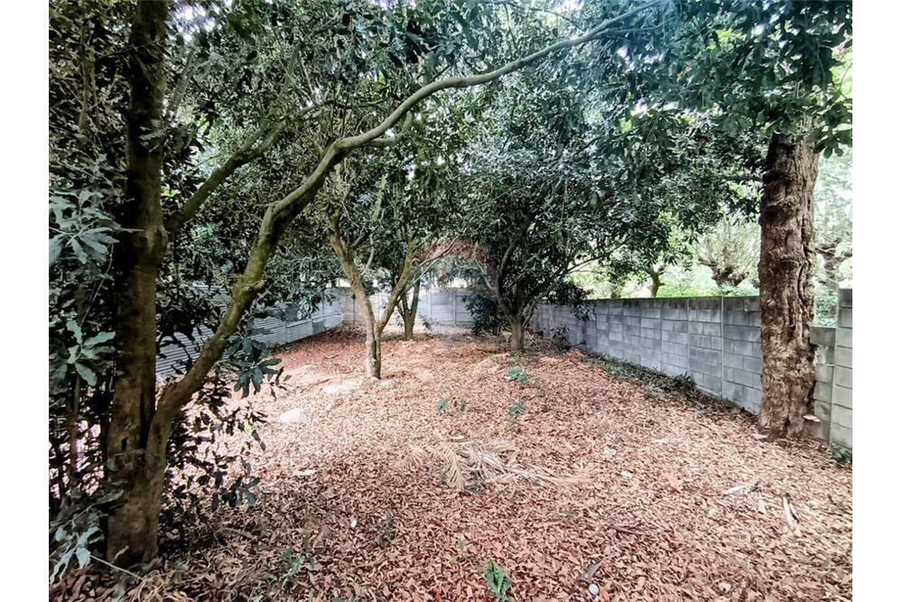 Land - For Sale - Ciudad Vieja, Sacatepéquez, Guatemala - 1 - 90129016-36