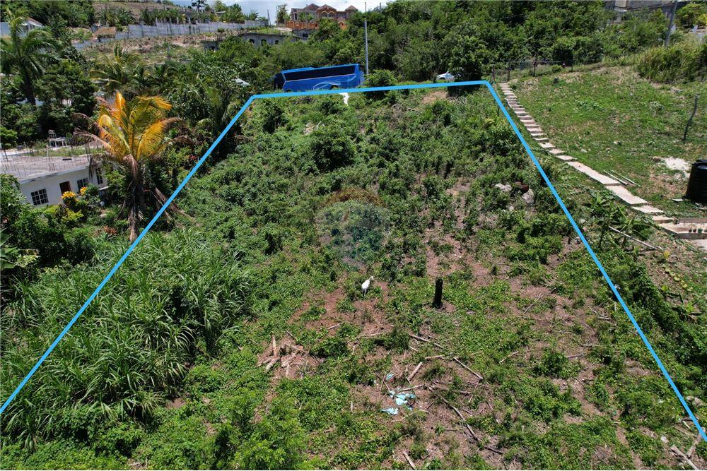 Lote - Venta - Cousins Cove, Hanover Parish, Jamaica - 5 - 902421019-1