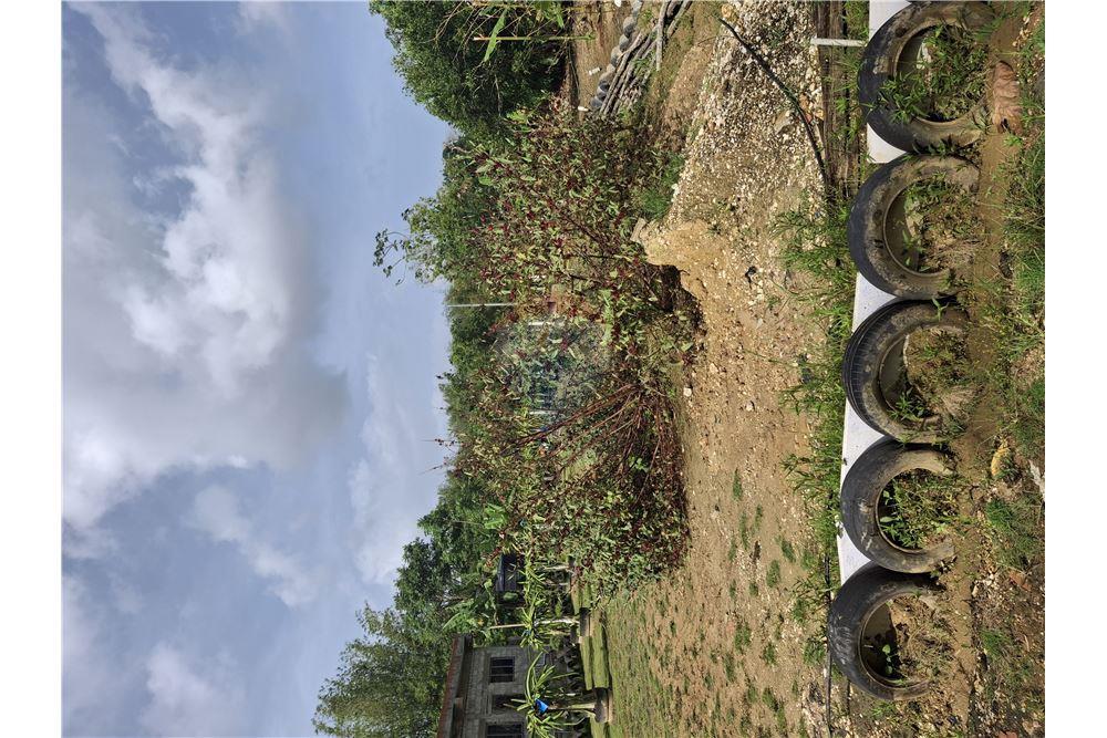 Grondstuk - Te Koop - Sangre Grande, Saint Andrew, Trinidad and Tobago - 2 - 90155092-94