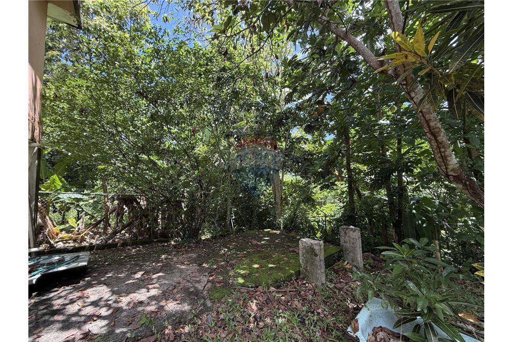 Villa - For Sale - Ciales, Ciales, Puerto Rico - 15 - 90156038-94