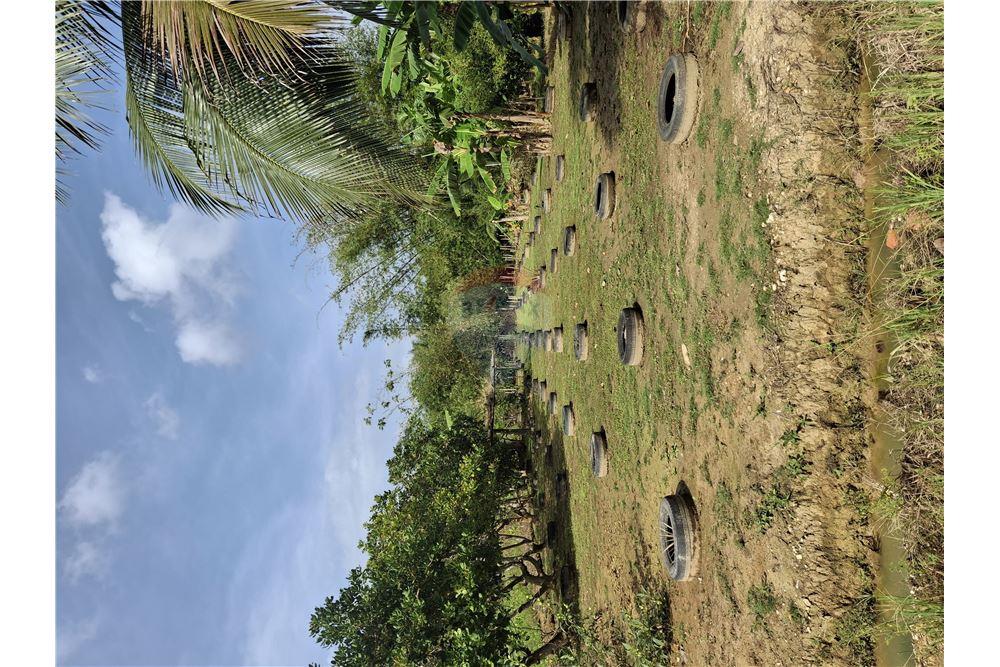 Grondstuk - Te Koop - Sangre Grande, Saint Andrew, Trinidad and Tobago - 1 - 90155092-94