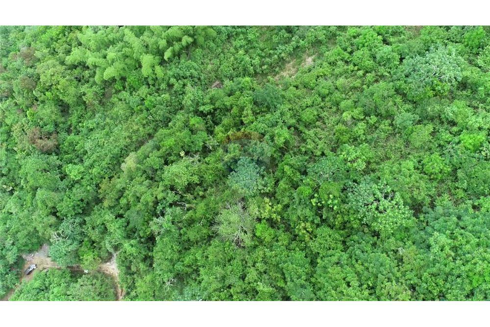 Land - For Sale - Stony Hill, Saint Andrew, Jamaica - 2 - 901321004-3