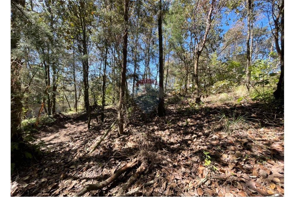 Land - For Sale - Quetzaltenango, Quetzaltenango, Guatemala - 6 - 901011001-18