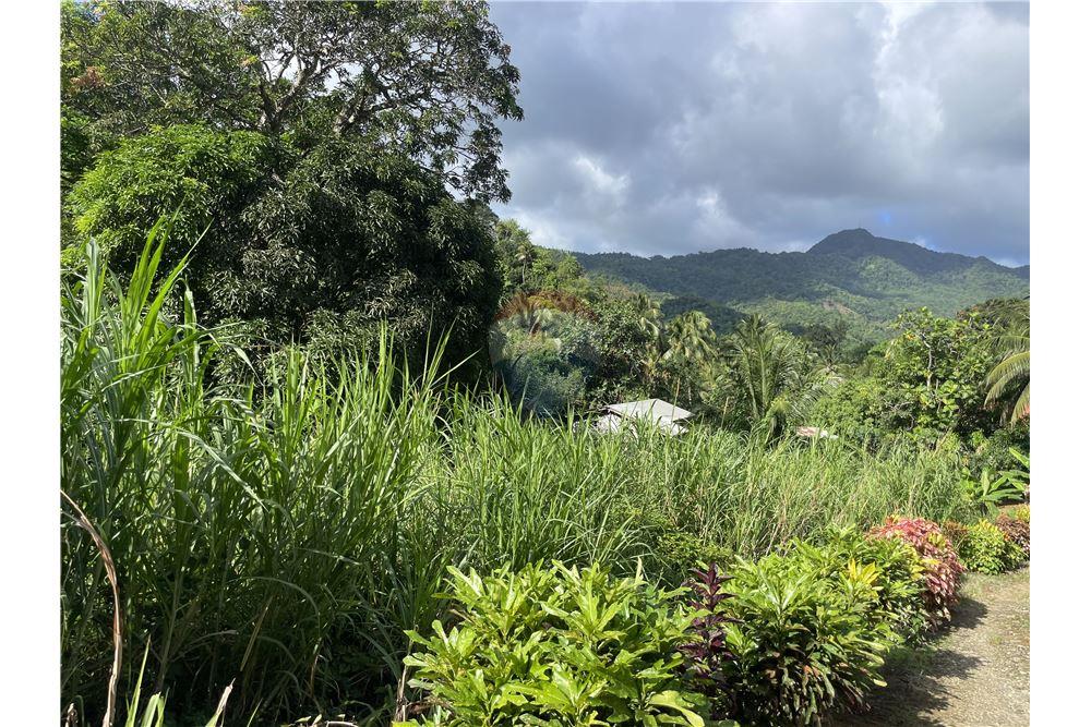 Land - For Sale - Bexon, Castries, St Lucia - 8 - 902071001-203