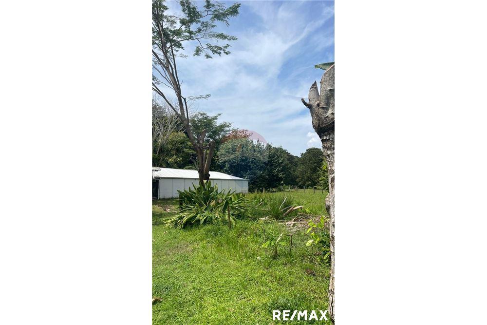 Land - For Sale - Tarcoles - Agujas, Puntarenas- Garabito, Costa Rica - 11 - 90168045-16