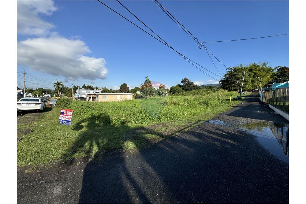 Lote - Venta - Juncos, Juncos, Puerto Rico - 3 - 90102046-19