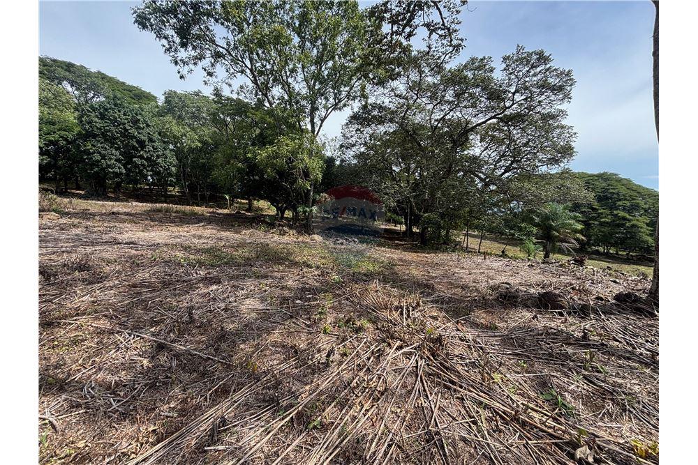 Land - For Sale - Atenas, Alajuela- Atenas, Costa Rica - 8 - 90128002-974