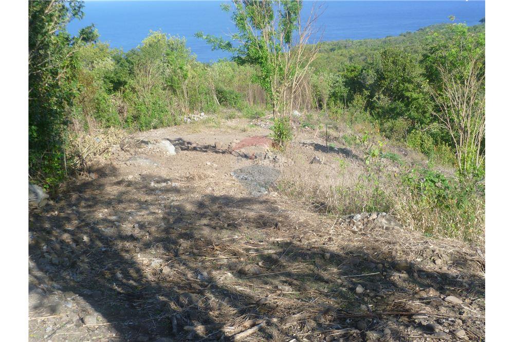 Land - For Sale - Anse La Verdure, Anse-la-Raye, St Lucia - 9 - 902071001-200