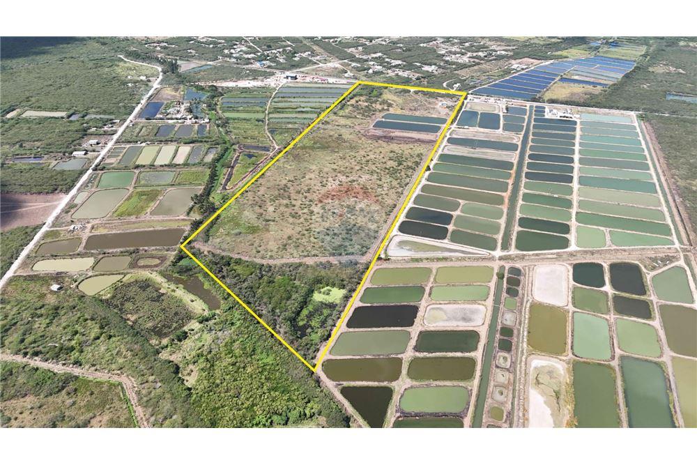 Grondstuk - Te Koop - Fellowship Hall, Saint Catherine, Jamaica - 1 - 90153098-3