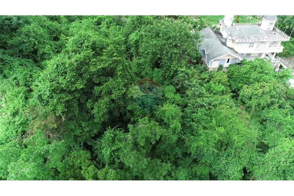Villa - Venta - Stony Hill, Saint Andrew, Jamaica - 1 - 901321004-1