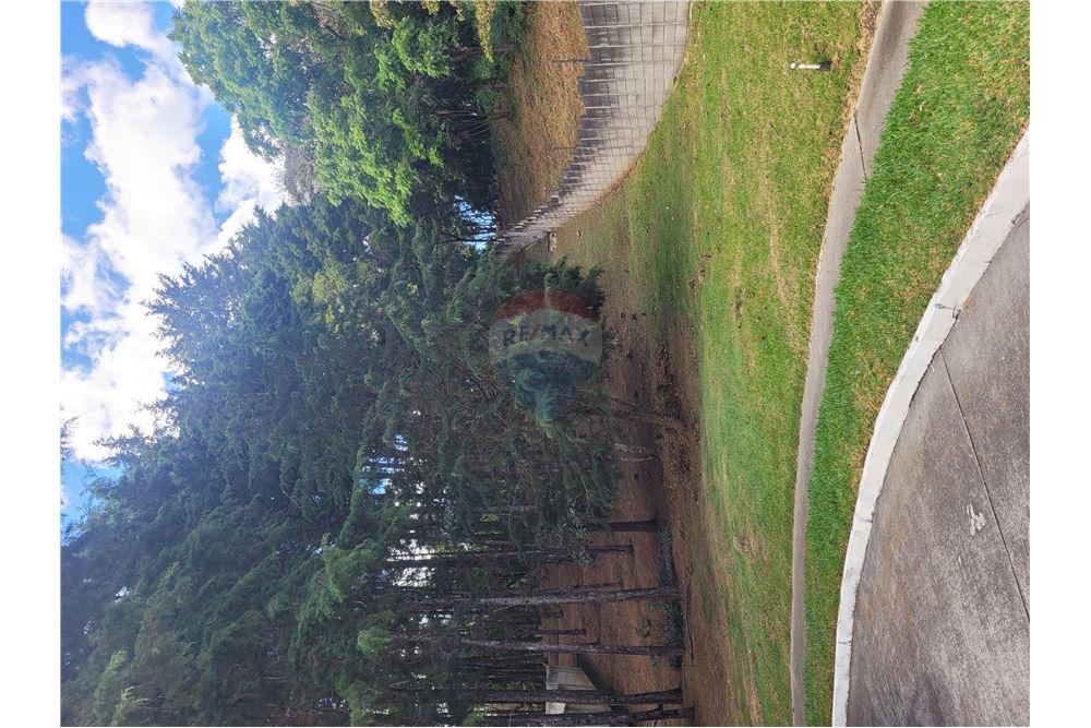 Lote - Venta - Fraijanes, Guatemala, Guatemala - 10 - 902091021-3