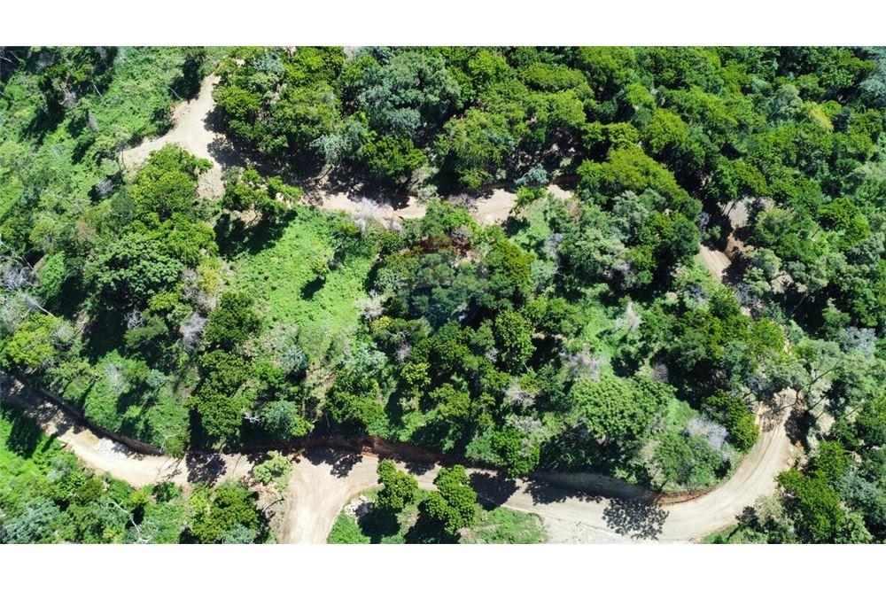 Land - For Sale - Roatan, Bay Islands, Honduras - 6 - 90139004-186