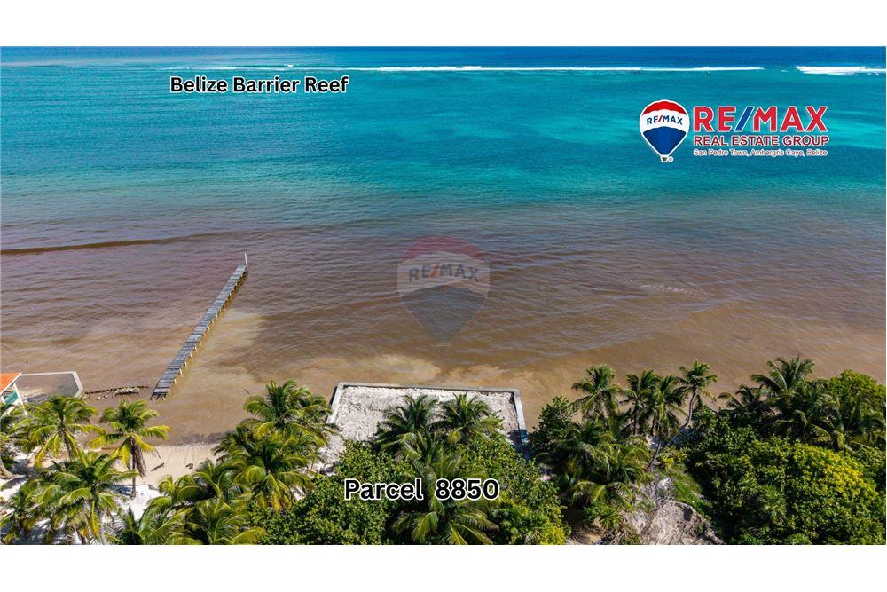 Land - For Sale - Ambergris Caye, Ambergris Caye, Belize - 7 - 90178006-57