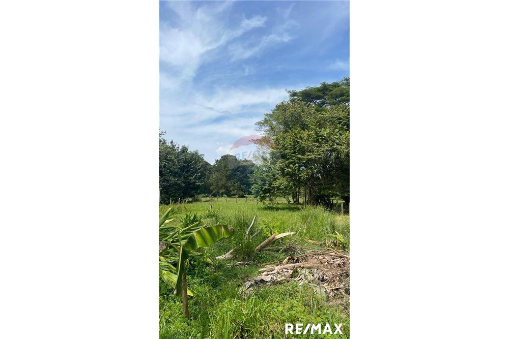 Land - For Sale - Tarcoles - Agujas, Puntarenas- Garabito, Costa Rica - 6 - 90168045-16
