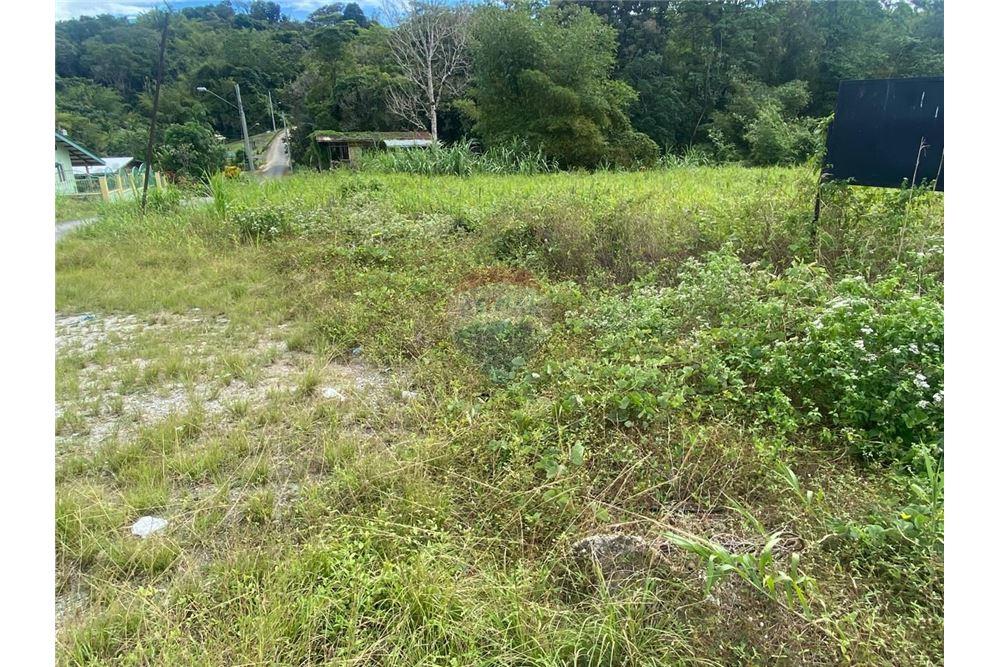Land - For Sale - Tabaquite, Caroni, Trinidad and Tobago - 7 - 90155109-154