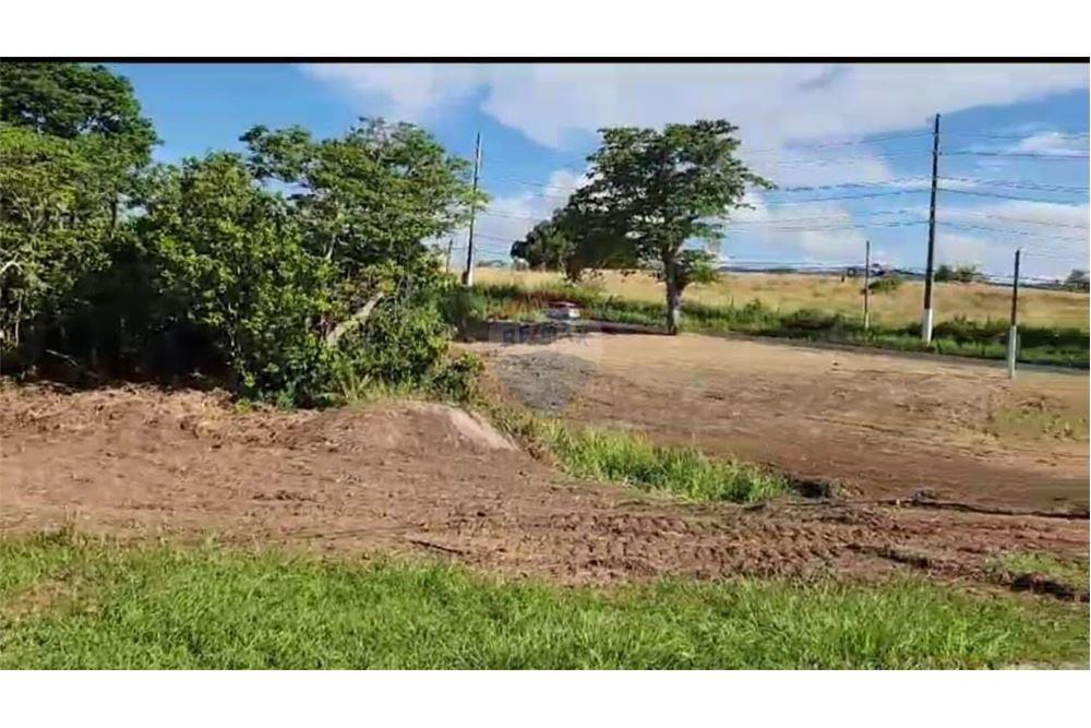 Land - For Sale - Juncos, Juncos, Puerto Rico - 2 - 90102046-20