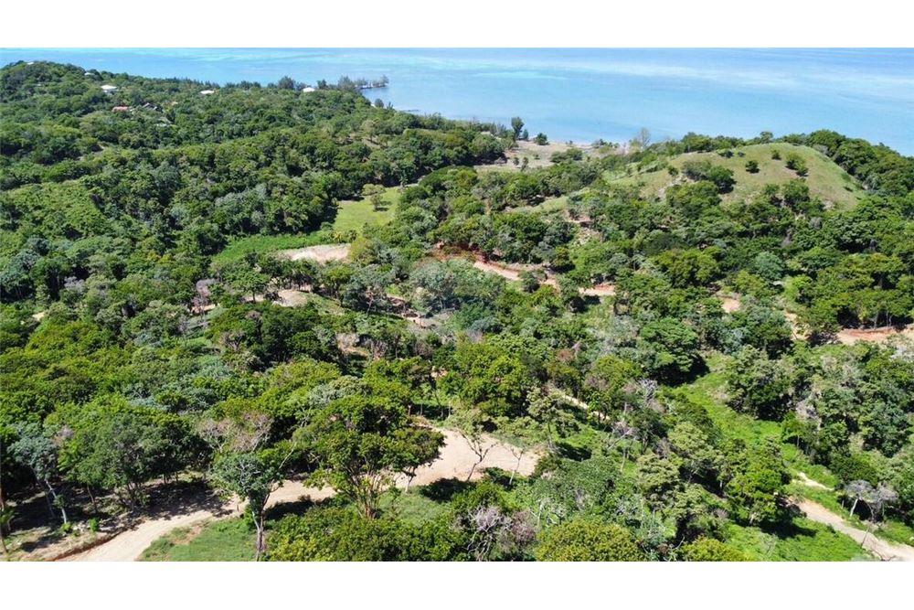 Land - For Sale - Roatan, Bay Islands, Honduras - 6 - 90143009-440