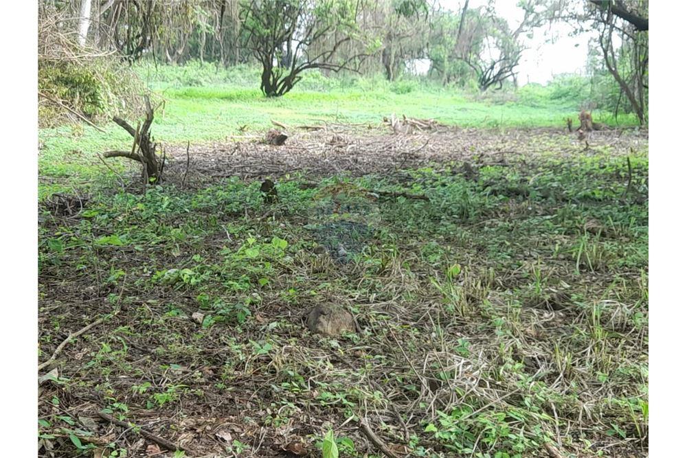 Land - For Sale - Escuintla, Escuintla, Guatemala - 2 - 902691005-34