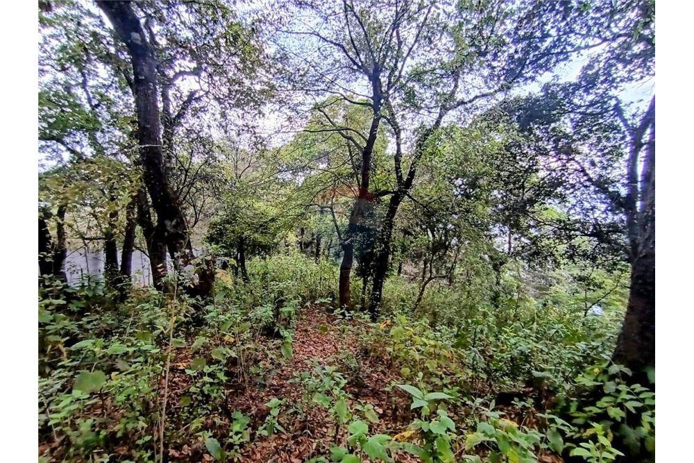 Land - For Sale - La Antigua Guatemala, Sacatepéquez, Guatemala - 2 - 90129016-50