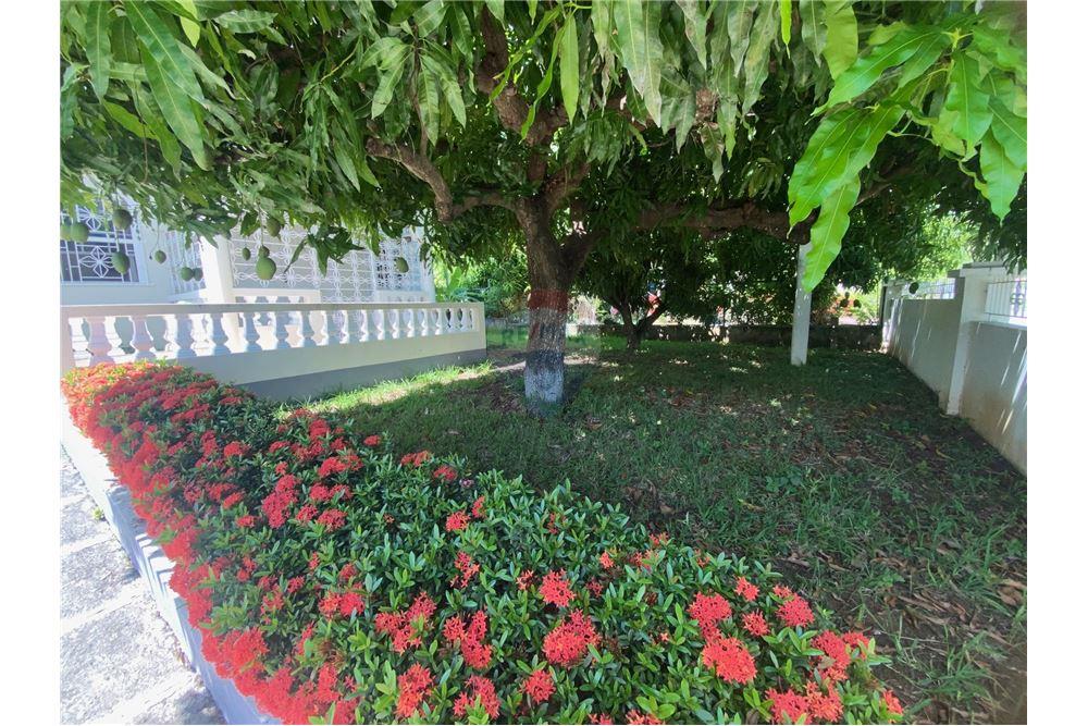 Villa - For Sale - Morant Bay, Saint Thomas, Jamaica - 5 - 90153043-150