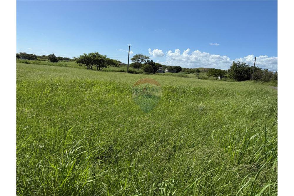Land - For Sale - Santa Isabel, Santa Isabel, Puerto Rico - 4 - 90102054-25