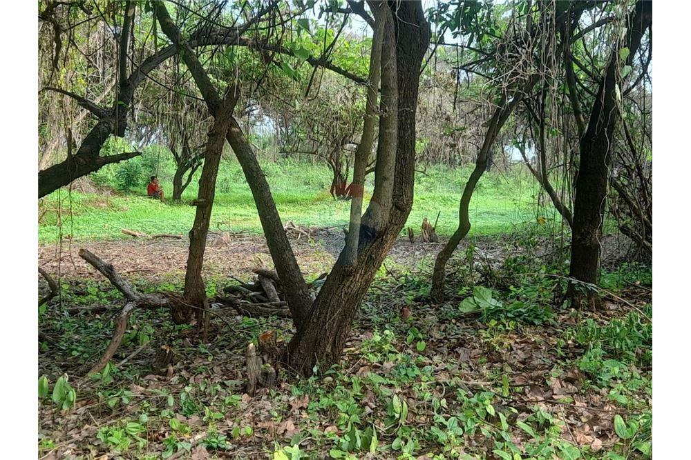 Land - For Sale - Escuintla, Escuintla, Guatemala - 1 - 902691005-34