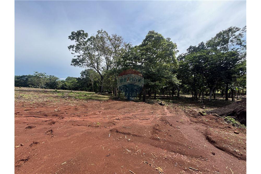 Land - For Sale - Atenas, Alajuela- Atenas, Costa Rica - 25 - 90128002-974